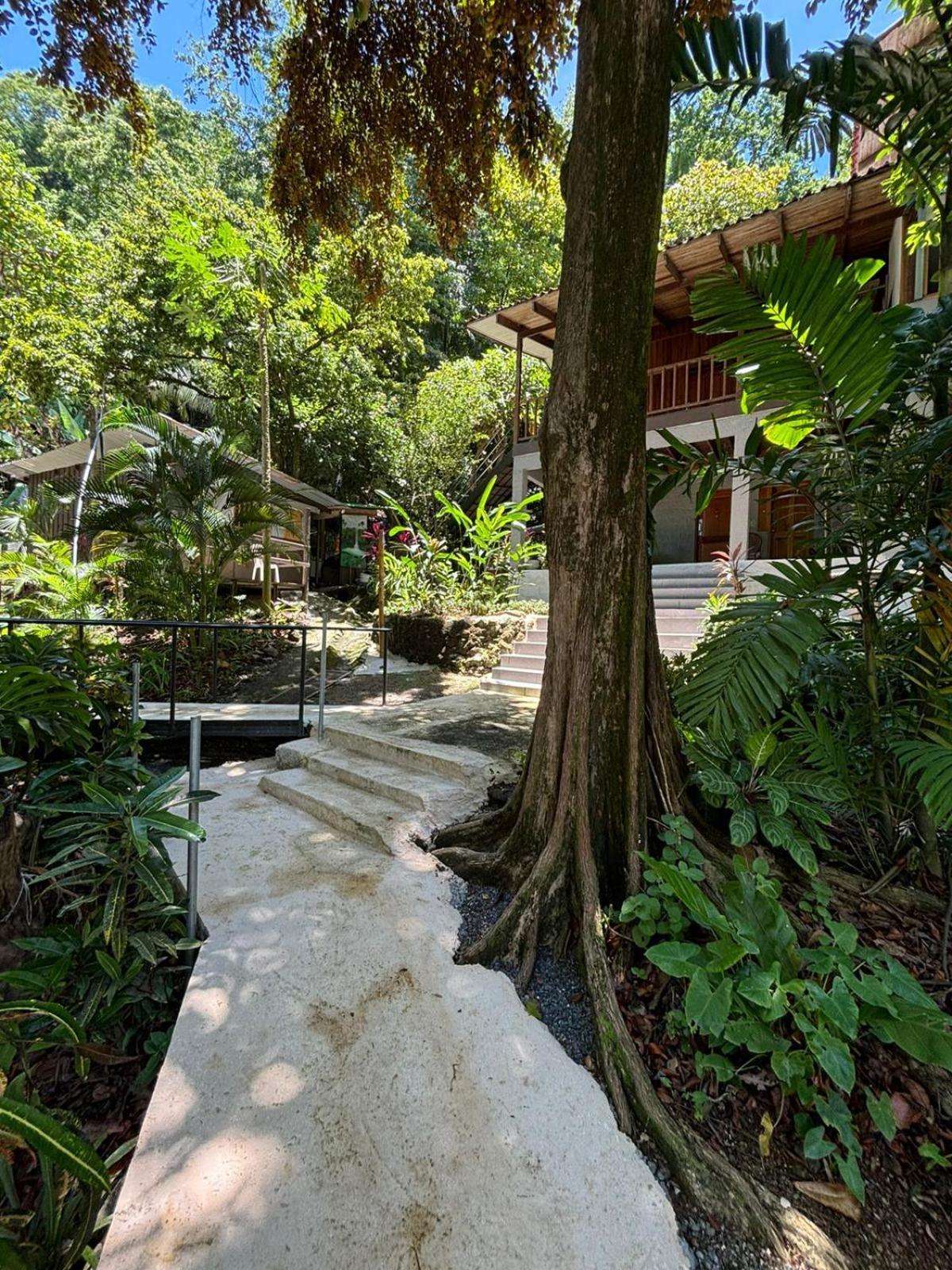 Casa Susen Apartment Montezuma Luaran gambar